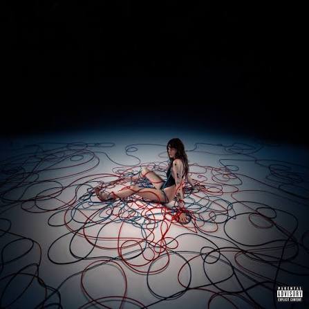 Cara Delevingne au milieu de câbles rouges et noirs sur la pochette de Not Normal de Cara Delevingne.