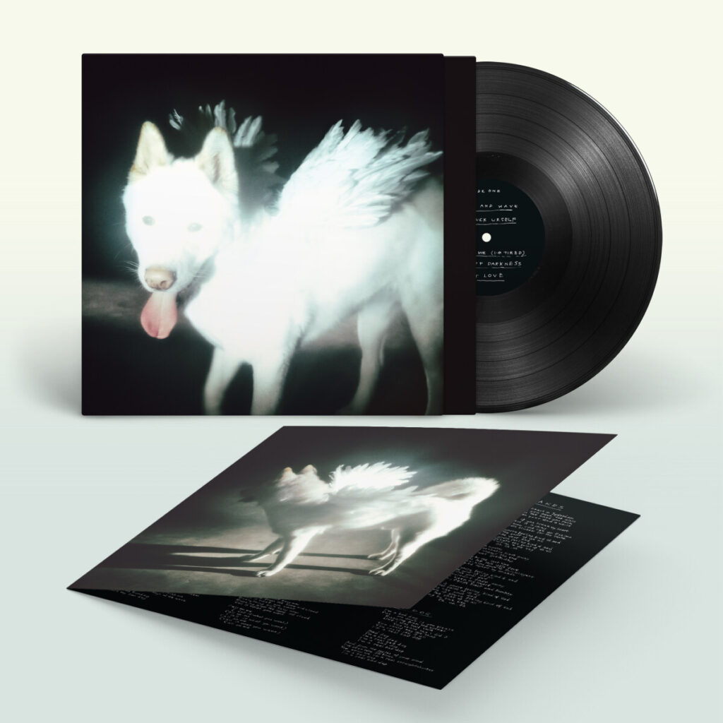Vinyle noir de l'album Cancel Me (I'm Tired) de Fat Dog, avec une pochette représentant un chien blanc ailé.